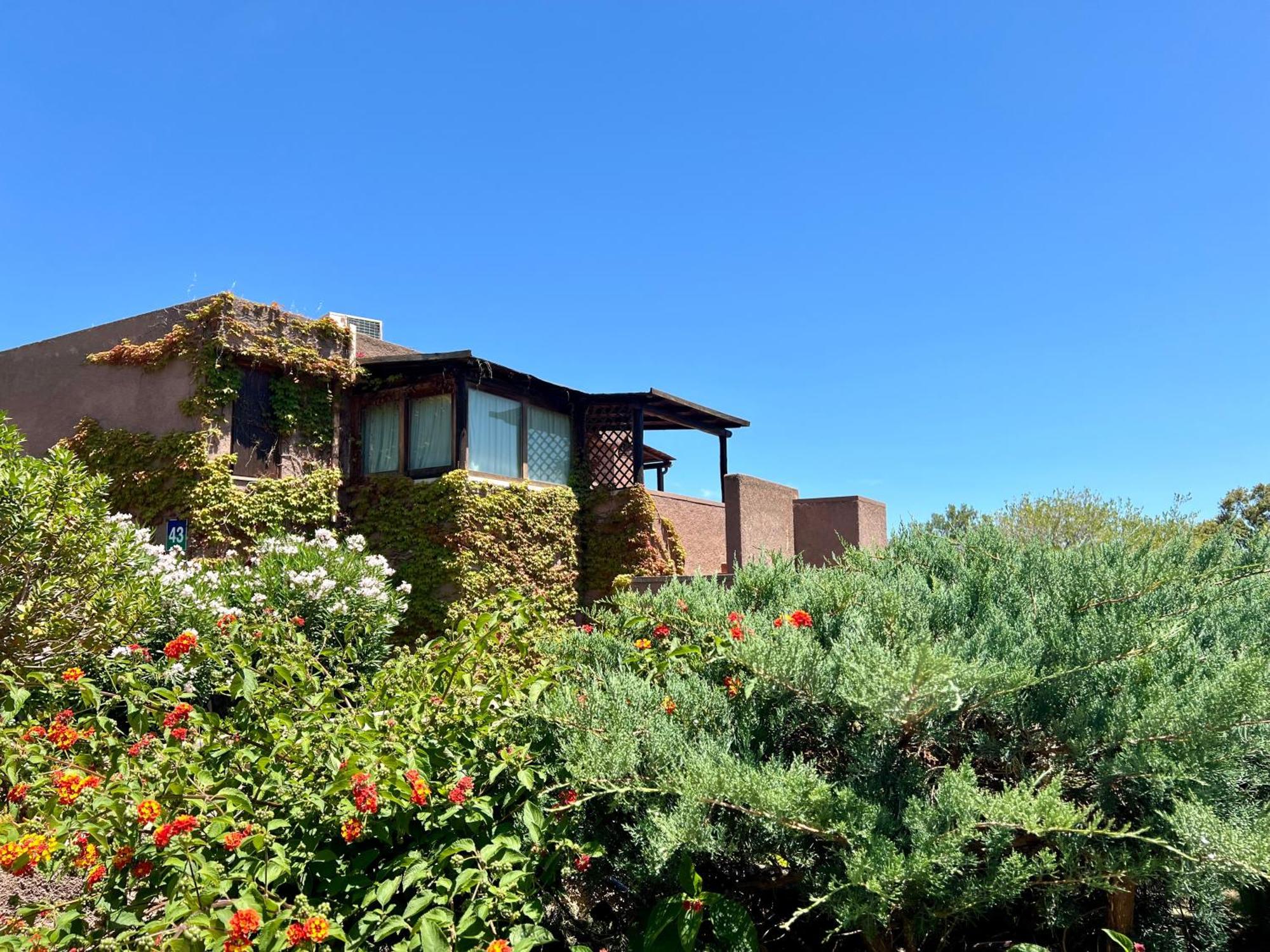 Cugnana Verde Valentina Home Costa Smeralda Vista Mar מראה חיצוני תמונה